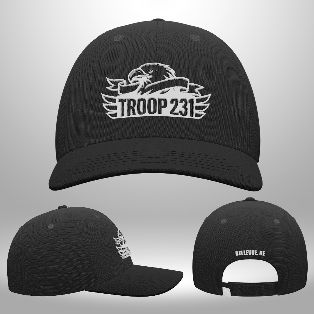 PRE-ORDER! Troop 231 Hat