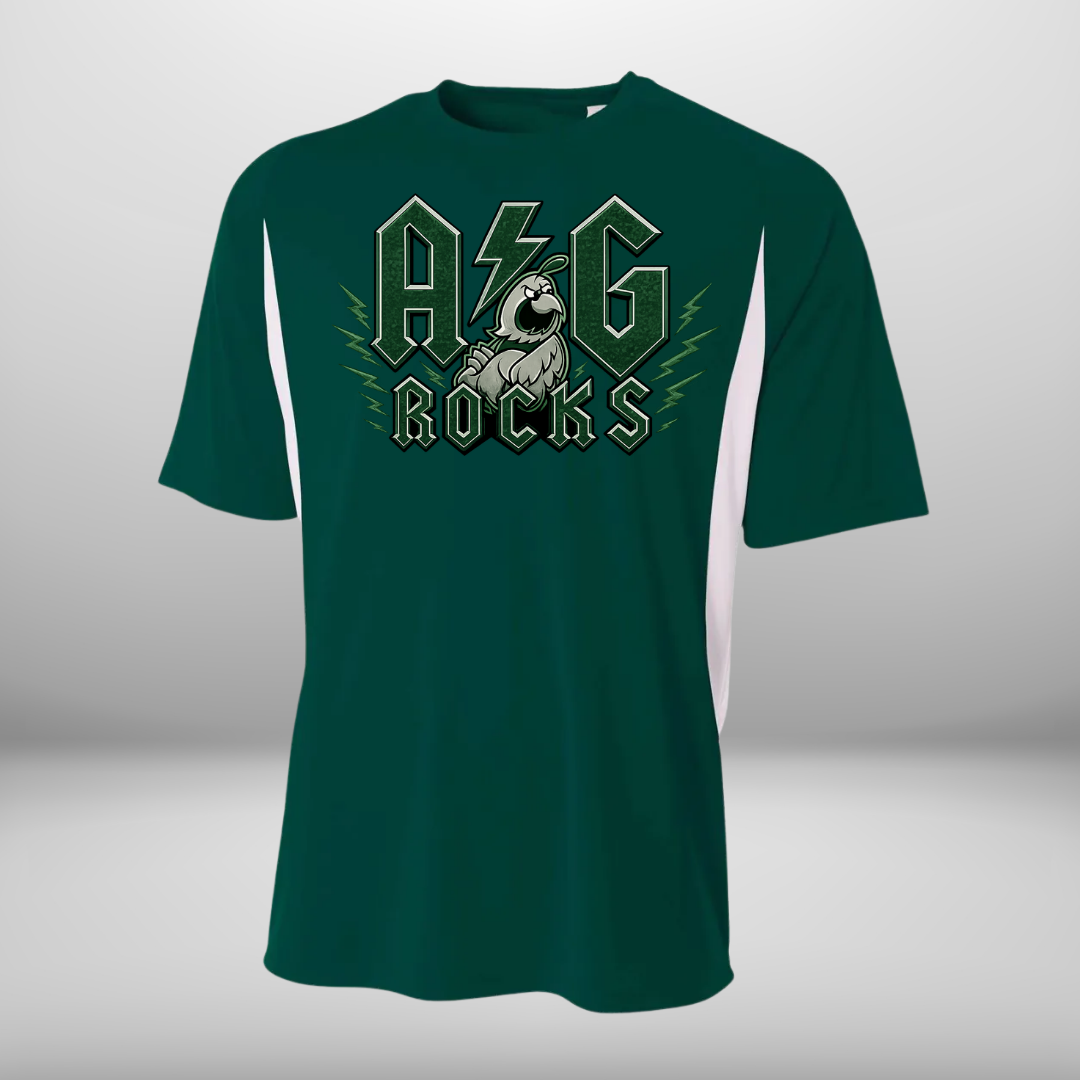 Anderson Grove Elementary School Performance Color Block T-Shirt