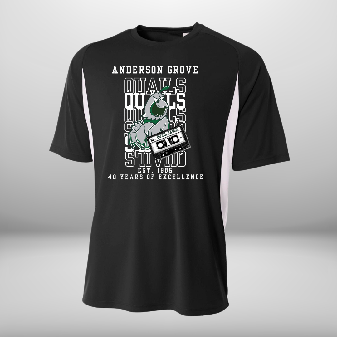 Anderson Grove Elementary School Performance Color Block T-Shirt