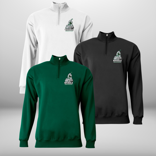 Anderson Grove Elementary School QTR Zip